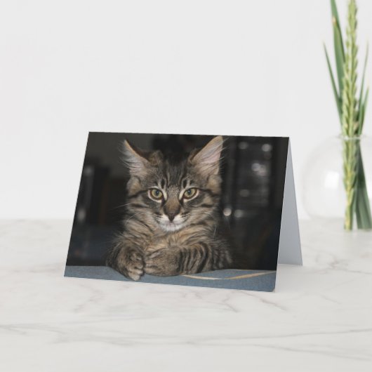 キムバー猫は自分で燃えない誕生日 カード (正面)