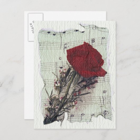 キム・コザ 2 ポストカード (正面/裏面)