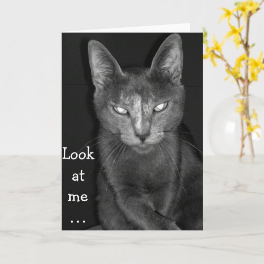 キモネコ – 誕生日カード カード (黄色い花)