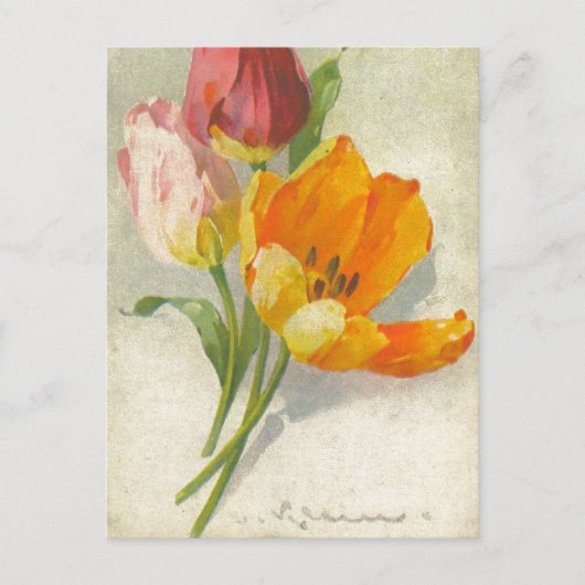 キャサリンクラインヴィンテージポストカードの複製 ポストカード (正面)