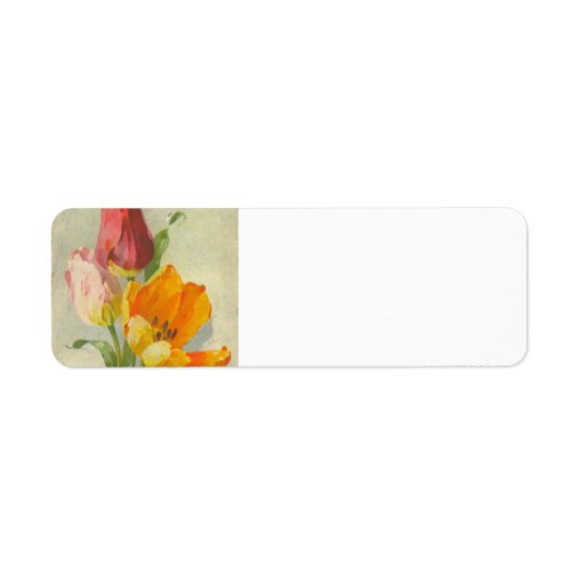 キャサリンクラインヴィンテージポストカードの複製 ラベル (正面)