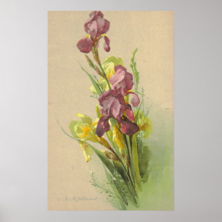 キャサリンクラインヴィンテージリソ再現キャンバス ポスター