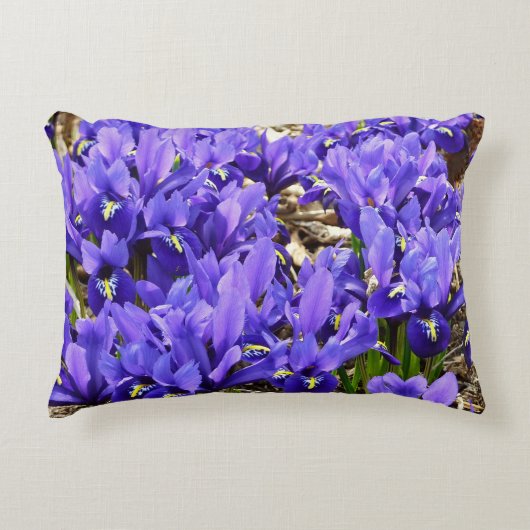 キャサリンホジキンアイリスパープル春フローラ アクセントクッション (正面)