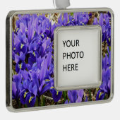 キャサリンホジキンアイリスパープル春フローラ シルバープレートフレームオーナメント (右)