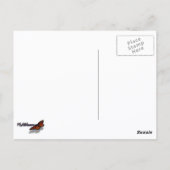 キャサリンホジキンアイリスパープル春フローラ ポストカード (裏面)