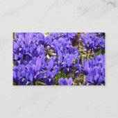 キャサリンホジキンアイリスパープル春フローラ 名刺 (裏面)