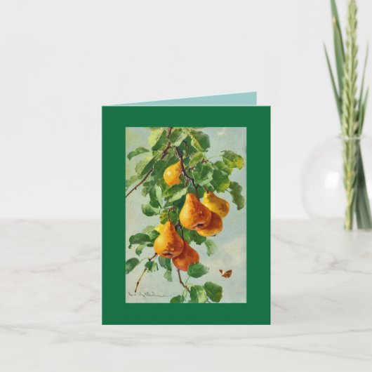 キャサリンKleinのナシ。  メッセージカードGRN カード (正面)