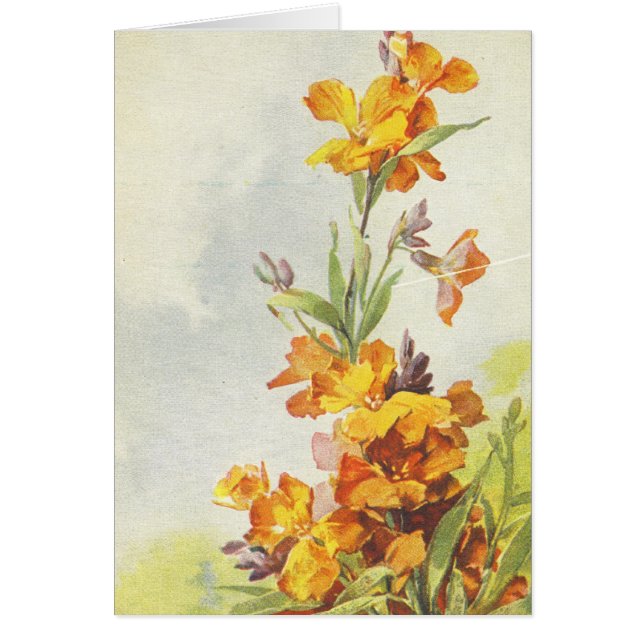 キャサリンKleinのヴィンテージの郵便はがきの再生カード (正面)