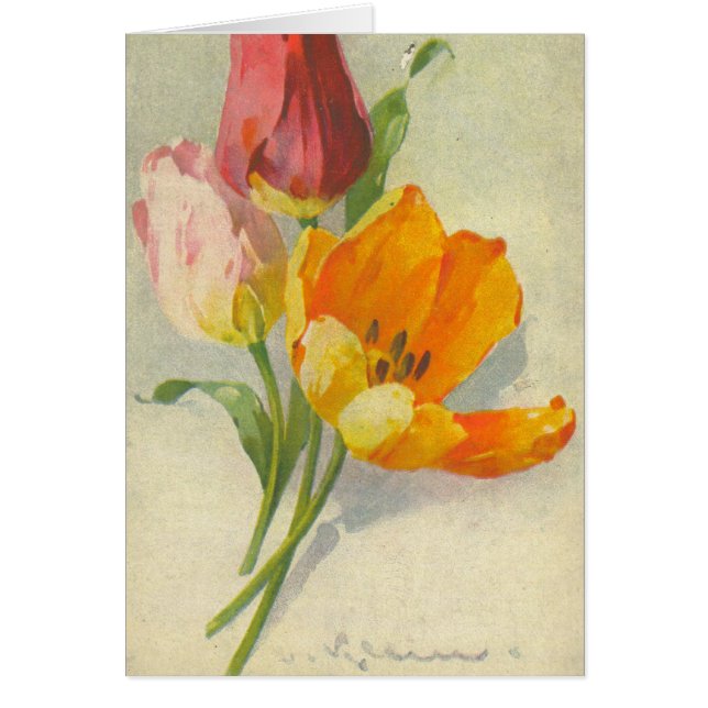 キャサリンKleinのヴィンテージの郵便はがきの再生 (正面)