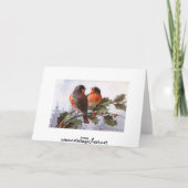 キャサリンKlein: ヒイラギのロビン シーズンカード (裏面)