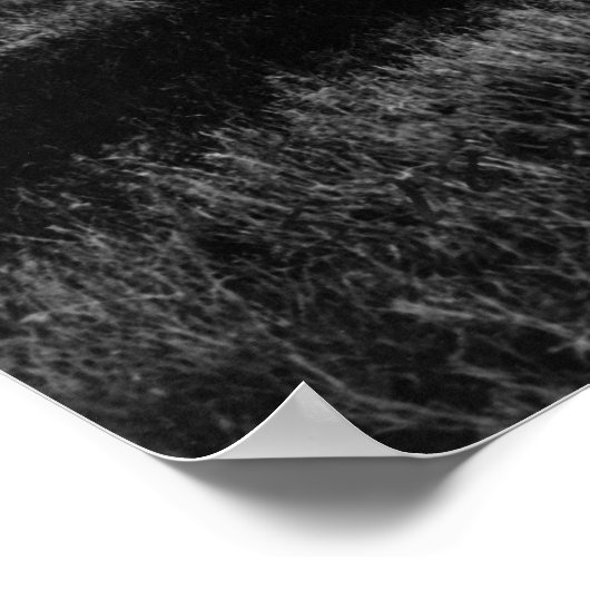 キャサリ恋しく思ン・スティンソンとカーティスの飛行機 ポスター (角)