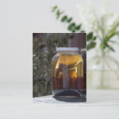 キャシーのコスモック九輪茶 ポストカード (スタンド正面)