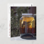 キャシーのコスモック九輪茶 ポストカード (正面/裏面)