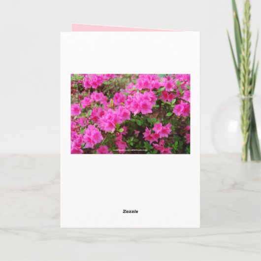 キャシーのピンクのツツジのハッピーバースデー カード (裏面)