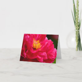 キャシーのブッシュPeonie 2 2013年 カード