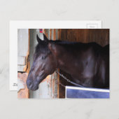 キャシーリットボスタブルズ ポストカード (正面/裏面)