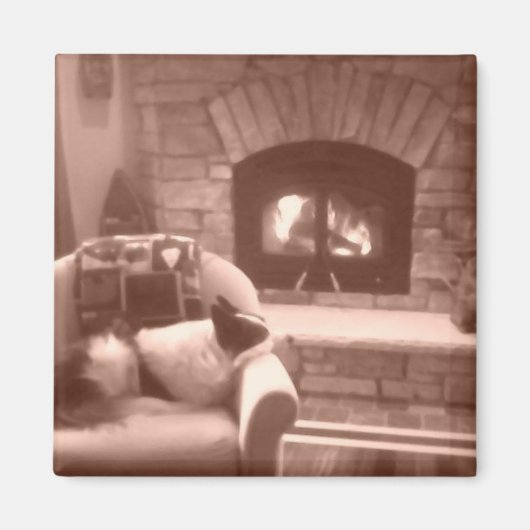 キャシー マグネット (正面)