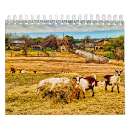 キャシーP.ジョーンズ2019年 カレンダー