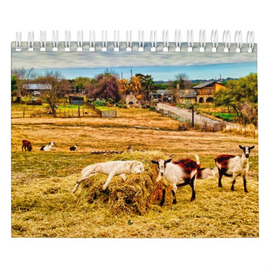 キャシーP.ジョーンズ2019年 カレンダー (カバー)