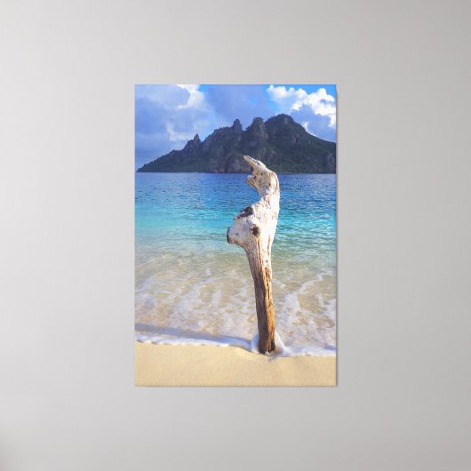 キャスタウェイウッド40x60 キャンバスプリント (正面)