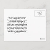 キャスタウェイ ポストカード (裏面)