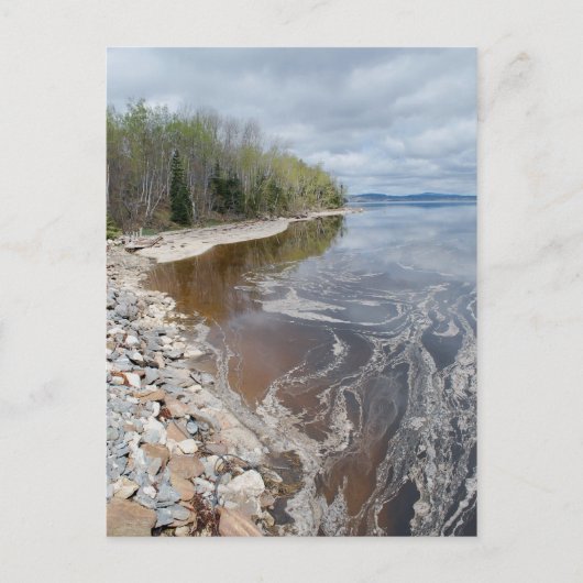 キャスティンポストカード – 1 ポストカード (正面)