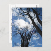 キャスティーン ポストカード - 2 (正面/裏面)