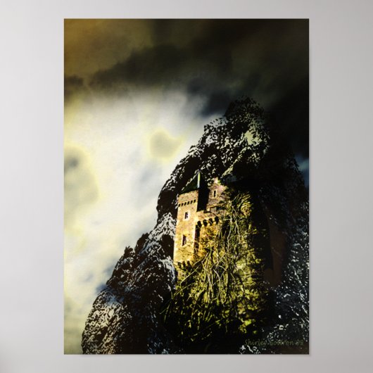 キャストレイ ポスター (正面)