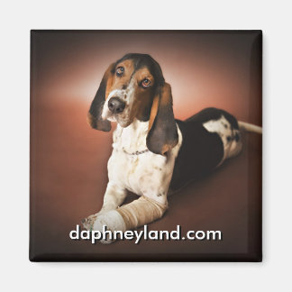 キャスト・マグネット付きジェファーソン マグネット