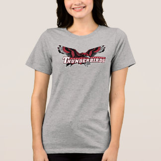 キャスパーカレッジ サンダーバーズ トライブレンドＴシャツ