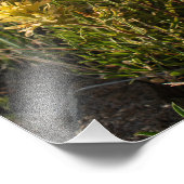 キャスパーマウンテンイエローペイントブラシ – キャスパーWY フォトプリント            (角)