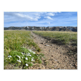 キャスパーマウンテンシーズンズ – 春フロックス – キャスパーWY フォトプリント           