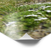 キャスパーマウンテンシーズンズ – 春フロックス – キャスパーWY フォトプリント            (角)