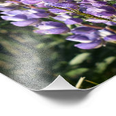 キャスパーマウンテンルピネキャスパーWY フォトプリント            (角)