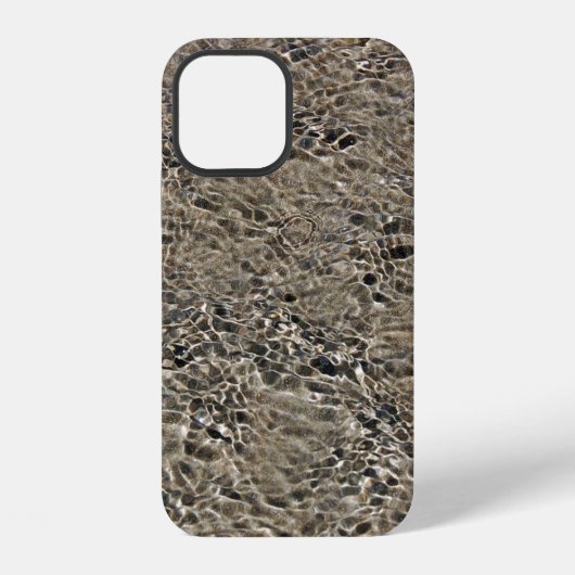 キャスルポイント iPhoneケース (裏面)