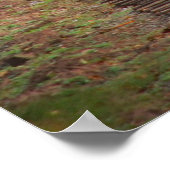 キャス風光明媚な鉄道 ポスター (角)