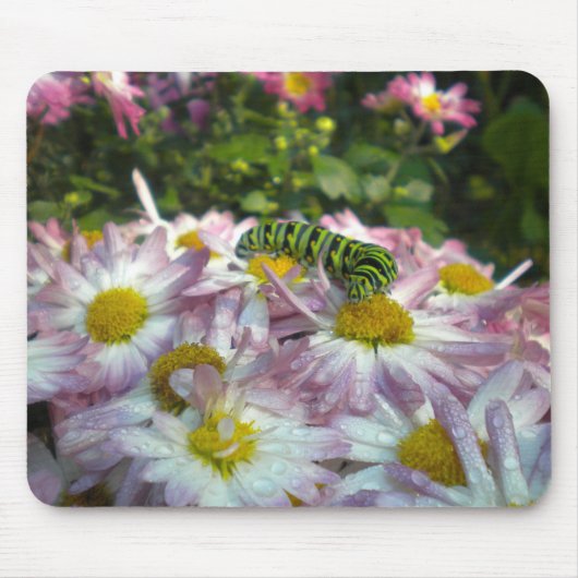 キャタピラーアンドアスターマウスパッド マウスパッド (正面)