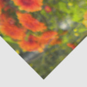 キャタピラーオンアスター 薄葉紙 (詳細)