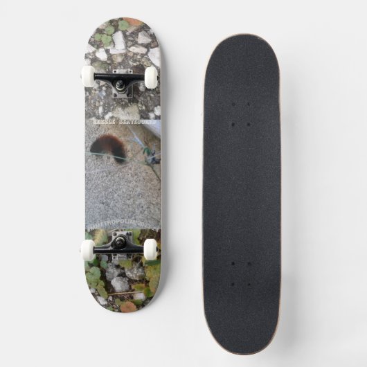 キャタピラーオンスケートボードデッキメトロポリームデザイン スケートボード (正面)