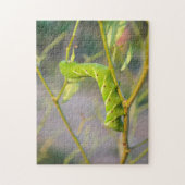 キャタピラーガイアナ ジグソーパズル (縦)