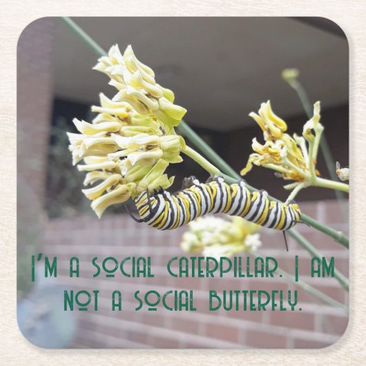 キャタピラーコースター スクエアペーパーコースター (正面)