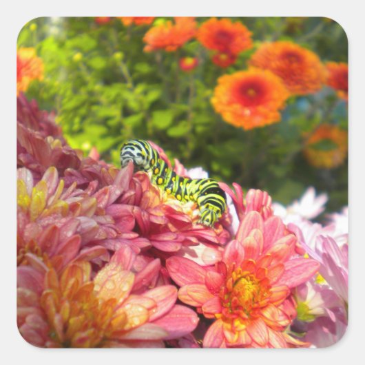 キャタピラーサンニングステッカー スクエアシール (正面)