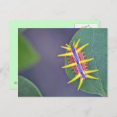 キャタピラーポストカード。 ポストカード (正面/裏面)