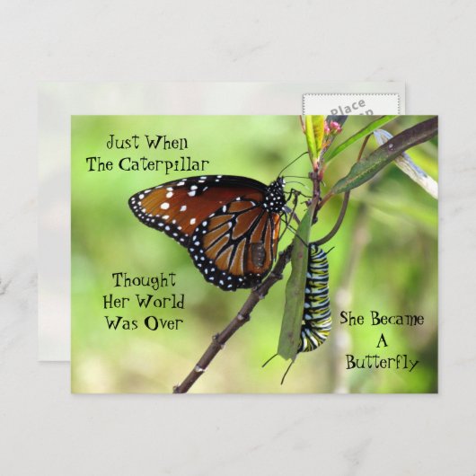 キャタピラー/バタフライ引用文葉書 ポストカード (正面/裏面)