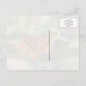 キャタピラー/バタフライ引用文葉書 ポストカード (裏面)