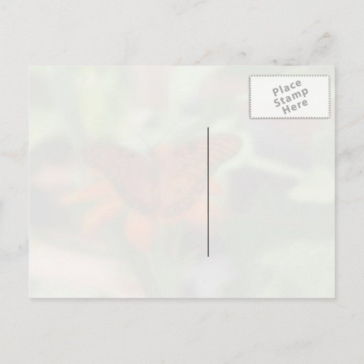 キャタピラー/バタフライ引用文葉書 ポストカード (裏面)