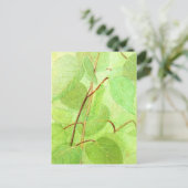 キャタピラ絵を描のはがき ポストカード (スタンド正面)