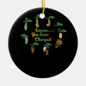 キャタピラ間抜け(昆虫)オオカバマダラ、モナークバタフライユーモア セラミックオーナメント (正面)