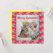 キャッおもしろいカス猫メリークリスマスカード カード (正面/裏面インサイチュ)