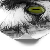 キャッおもしろいトクラシック ポスター (角)